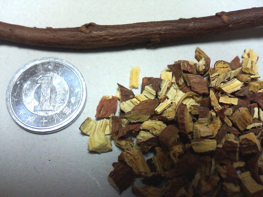 Ảnh minh hoạ Cam Thảo Bắc (Glycyrrhiza uralensis) 3