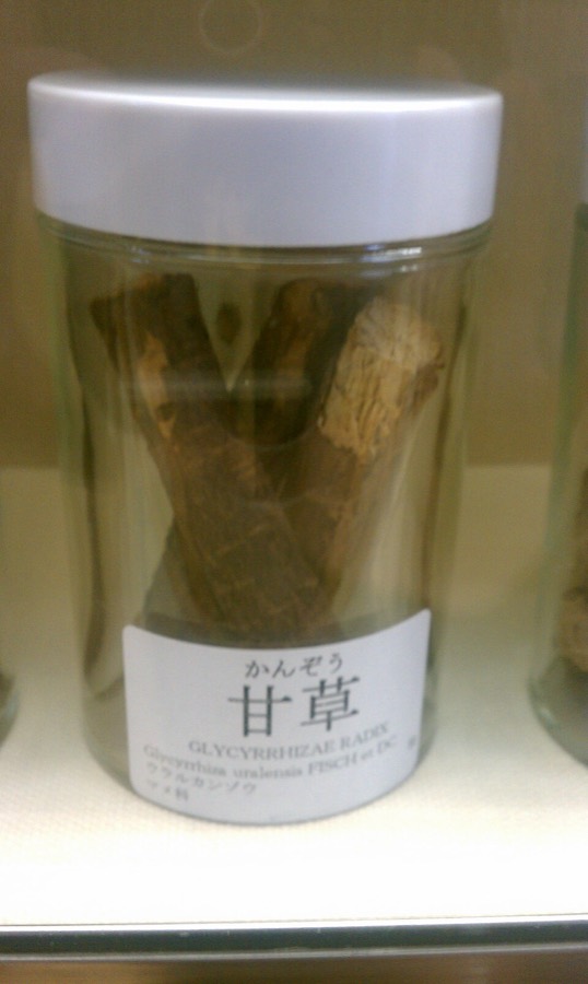 Ảnh minh hoạ Cam Thảo Bắc (Glycyrrhiza uralensis) 4