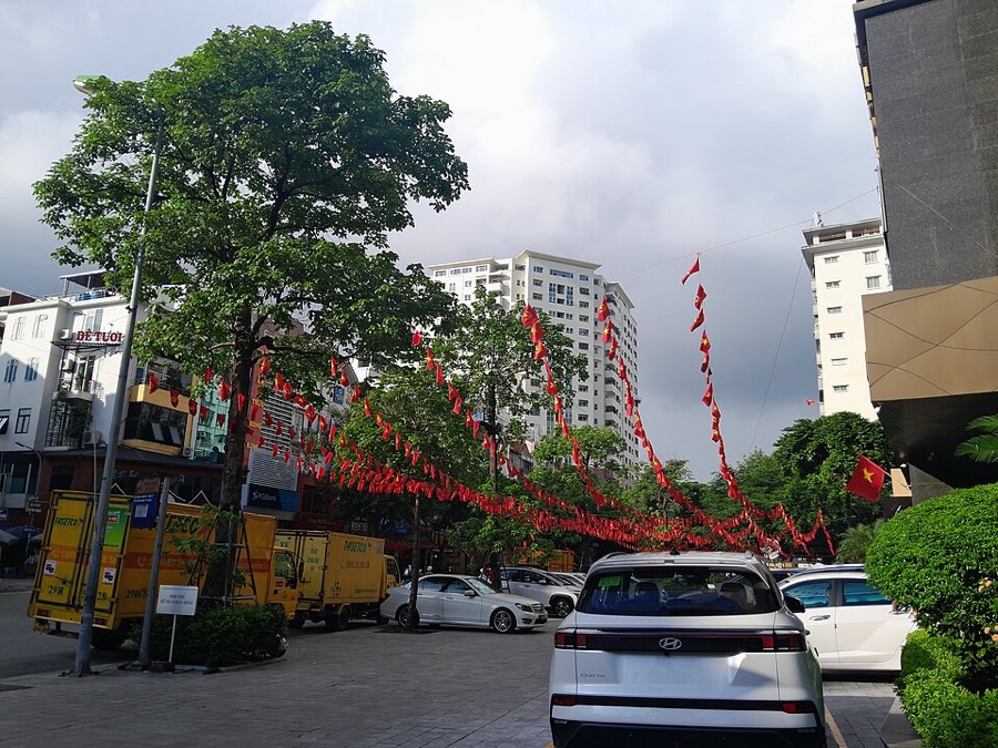 Ảnh minh hoạ Chay (Artocarpus tonkinensis) 4