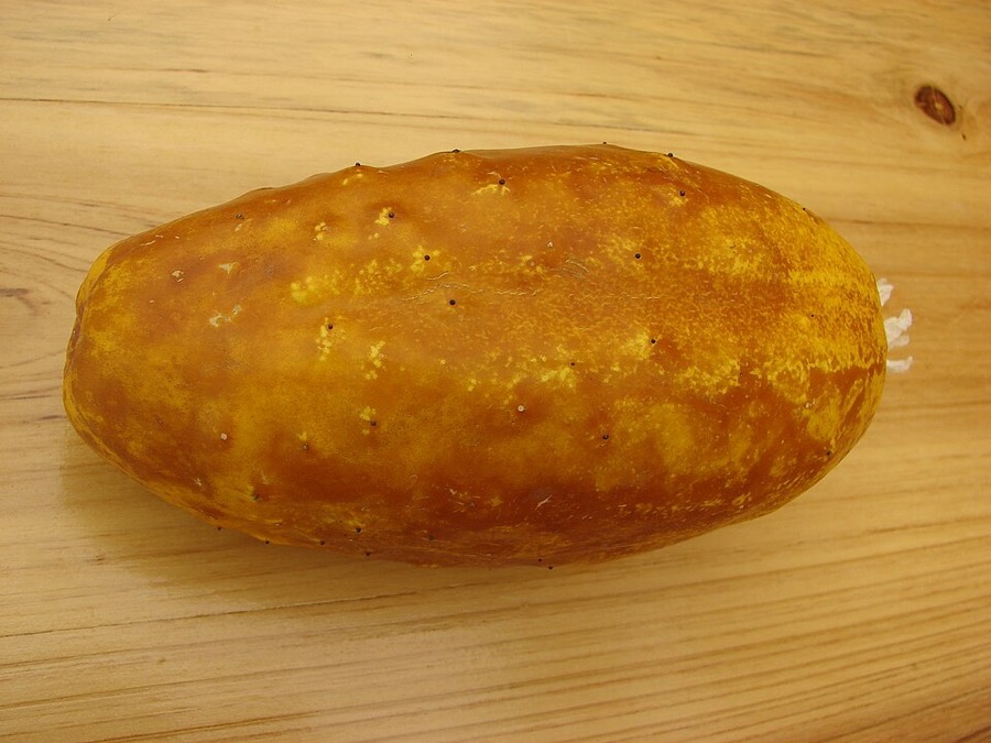 Ảnh minh hoạ Dưa Chuột (Cucumis sativus) 4