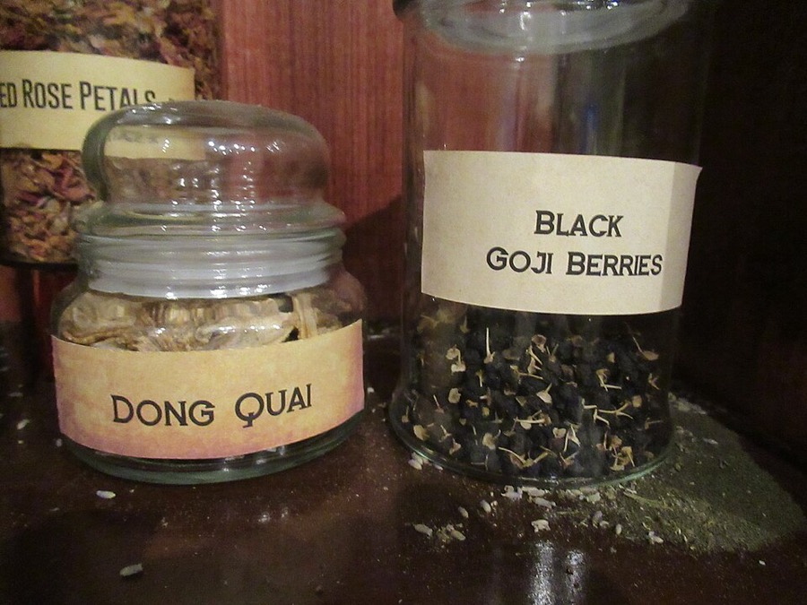 Ảnh minh hoạ Đương Quy (Angelica sinensis) 3