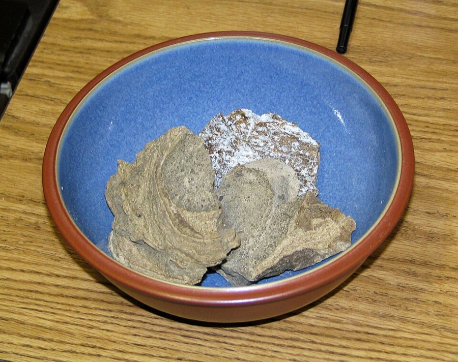 Ảnh minh hoạ Long Duyên Hương (Ambergris) 1
