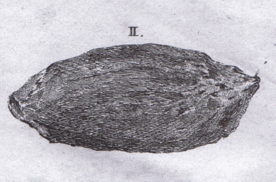 Ảnh minh hoạ Long Duyên Hương (Ambergris) 2