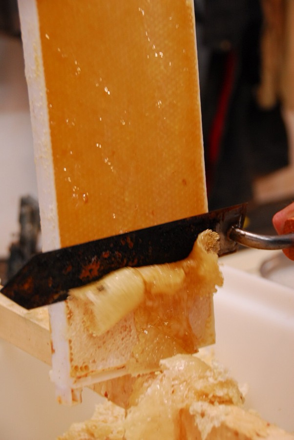 Ảnh minh hoạ Mật Ong (Honeycombs) 4