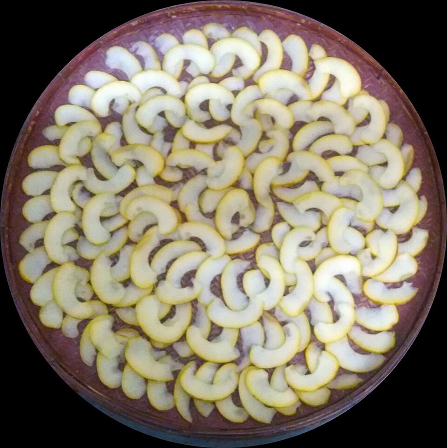 Ảnh minh hoạ Tai Chua (Garcinia pedunculata) 5