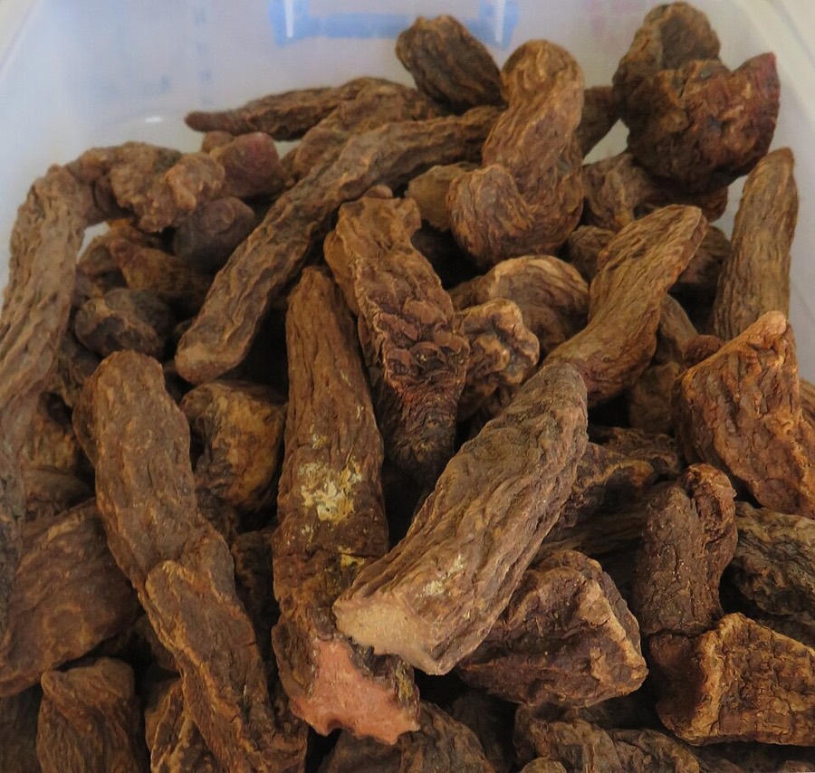 Ảnh minh hoạ Tích Dương (Cynomorium songaricum) 1
