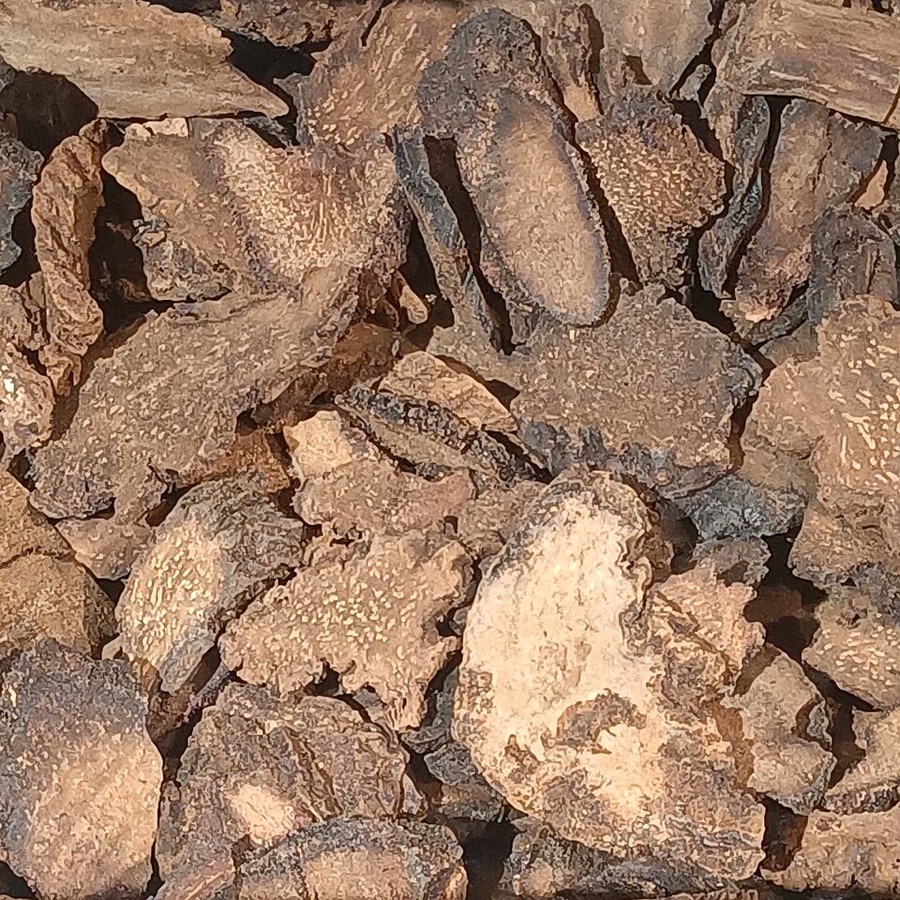 Ảnh minh hoạ Tích Dương (Cynomorium songaricum) 2